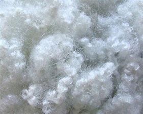 Dyed Elongation Hollow Siliconized Polyester Fibre From Virgin Chips